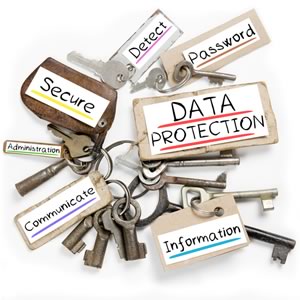 Cyber Liability Protection